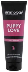 Animology Sampon kölyökkutyáknak Animology Puppy Love, 250ml