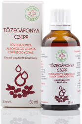 Bálint Cseppek Tőzegáfonya csepp 50 ml (0180001200)