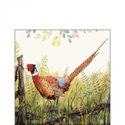 Ambiente Glorious pheasant papírszalvéta 25x25cm, 20db-os