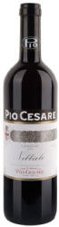 Pio Cesare Nebbiolo 2022 (száraz) 0.75l