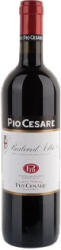 Pio Cesare Barbera d'Alba Magnum 2023 (száraz) 1.5l