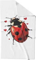 Takoy Gyorsan száradó törölköző 50x90 katicabogár Szerelem