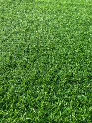 Delta Carpet Covor Gazon Iarba Artificiala, LEISURE, Verde, 15 mm, Latime 1 m (LEISURE-15-115)