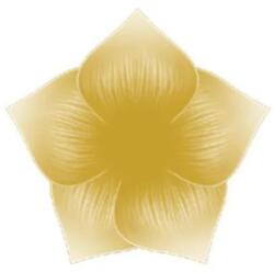 Perfect Nails Akrilfesték 18 ml - fmkk - 690 Ft