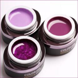 BrillBird Color Gel 5 ml