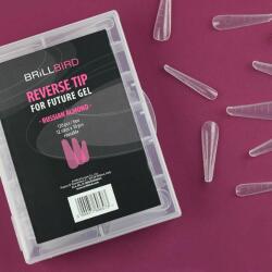 BrillBird Russian Almond Reverse Tip