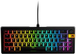 Glorious PC Gaming Race GMMK 3 HE RGB 65 Prebuilt Fox Switch (GLO-KB-GMMK3-65-PB-HE-W-BLK-US)
