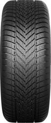 Dunlop Winter 225/55 R17 97H