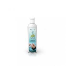 Wellis Spa aroma - Rozmaring 250 ml (WM00406) - geminiduo