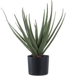 House Nordic Aloe Vera műnövény, zöld 51 cm (9501001) - geminiduo