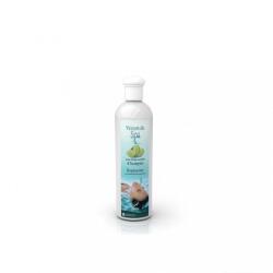 Wellis Spa aroma - Levendula 250 ml (WM00400) - geminiduo
