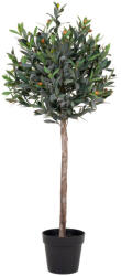 House Nordic Olivafa műnövény, zöld 120 cm (9501060) - geminiduo