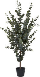 House Nordic Eukaliptuszfa műnövény, zöld 120 cm (9501015) - homelux