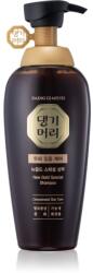 Daeng Gi Meo Ri New Gold Special Shampoo erősítő sampon zsíros hajra 500 ml