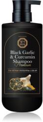 Daeng Gi Meo Ri Black Garlic & Curcumin Shampoo Sampon de restaurare in profunzime pentru întărirea și creșterea părului 500 ml