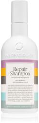 Waterclouds Repair Shampoo gyengéden ápoló sampon 250 ml