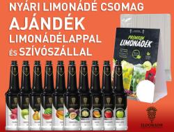  Nyári limonádé csomag ajándék limonádélappal és szívószállal - görögdinnyés design al