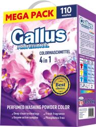 Gallus PROFESIONAL Color 6, 05 kg (110 mosás)