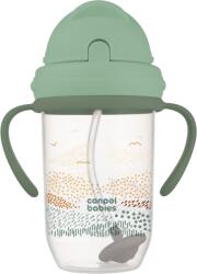 Canpol babies Canpol babies, Mountains, cana anti-varsare si pai cu greutate, verde, 270 ml