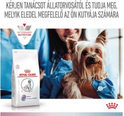 Royal Canin Multifunction Renal + Hypoallergenic - száraz eledel felnőtt kutyák részére veseelégtelenségre, veseműködés támogatására és hipoallergén 10 kg kutyatáp