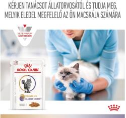 Royal Canin Multifunction Urinary S/O + Bladder Comfort - nedves eledel felnőtt macskák részére struvit kő és idiopátiás hólyaghurut ellen 12x85 g macskaeledel