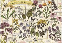 Trefl 37478 - Herbarium: Medicinal herbs - 500 db-os puzzle (37478)