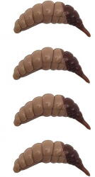 FishUp Ozi Cheese 3.8cm #138 Coffee Milk Earthworm (4820246299626)