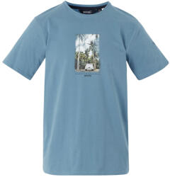 Regatta Cline IX férfi póló XXXXL / bézs/zöld