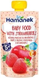 Hamanek пауч ябълка и ягода 5м+ -120 г