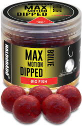 Haldorádó HALDORÁDÓ MAX MOTION Boilie Dipped 20 mm - Nagy Hal (HD28892)