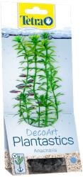 TETRA Egeria densa (Anacharis) - növény akváriumba Tetra 15 cm, S (18382)