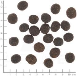 Wolfsblut VetLine Joint Care 2 kg