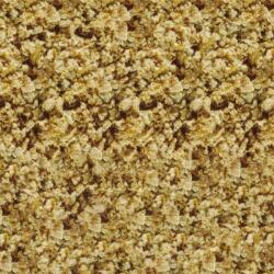 SERA FD Daphnia haltáp 100 ml