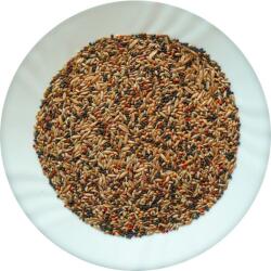 AVICENTRA Classic Menu Kanári 1 kg