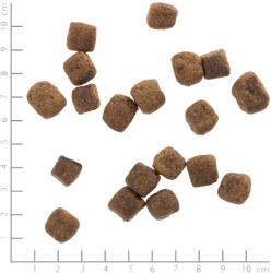 Wolfsblut Wild Duck & Turkey Adult 2 kg