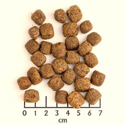 Wolfsblut Black Bird Felnőtt 2 x 12, 5 kg