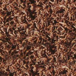 SERA Bloodworms FD Snack 250 ml / 24 g