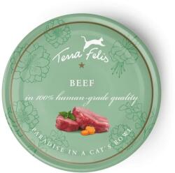 Terra Faelis Beef 80 g