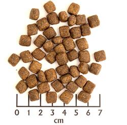 Wolfsblut Black Bird Small Breed 7, 5 kg