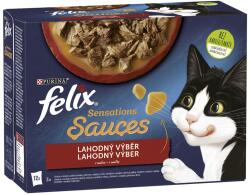 FELIX Fantasztikus DUO zacskók, ízletes válogatás zöldségekkel szószban 72 x 85 g