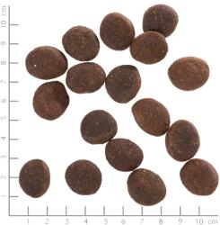 Wolfsblut Polar Night 2 kg