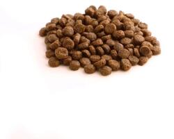 Fish4Dogs FINEST Puppy Salmon large 6 kg