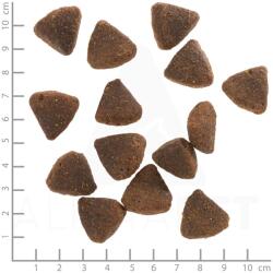 Wolfsblut Vadkacsa Puppy Nagytestű 2 kg