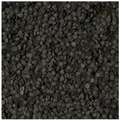 Tropical Spirulina Super Forte Chips 1000ml/520g