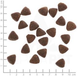 Wolfsblut Wide Plain Active 2 kg