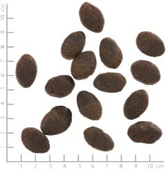 Wolfsblut Wild Pacific 2 kg