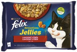 FELIX Sensations Jellies zacskós eledel, ízletes válogatás kocsonyában 72 x 85 g