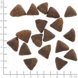 Wolfsblut Black Bird Nagytestű 2 kg