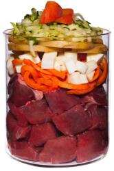 Terra Canis Senior Beef with celery, apricots & herbs 800 g