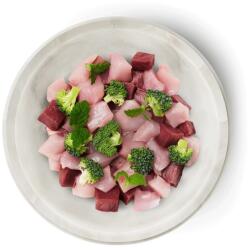 Terra Faelis Kitten Beef & Rabbit 70 g